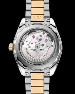 41 mm, acciaio ‑ oro Moonshine™ su acciaio‑oro Moonshine™