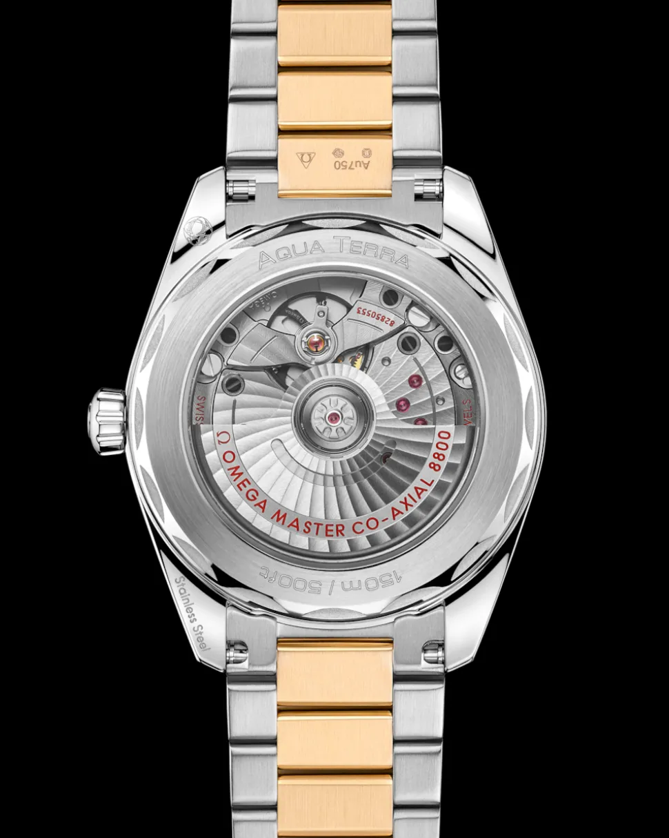 38 mm, acciaio ‑ oro Moonshine™ su acciaio‑oro Moonshine™