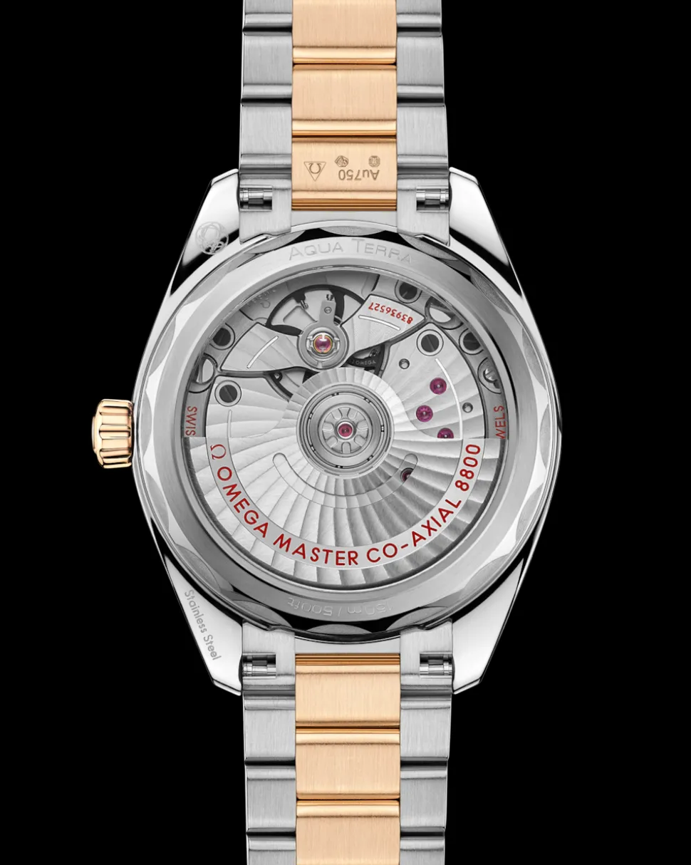 34 mm, acciaio ‑ oro Moonshine™ su acciaio‑oro Moonshine™