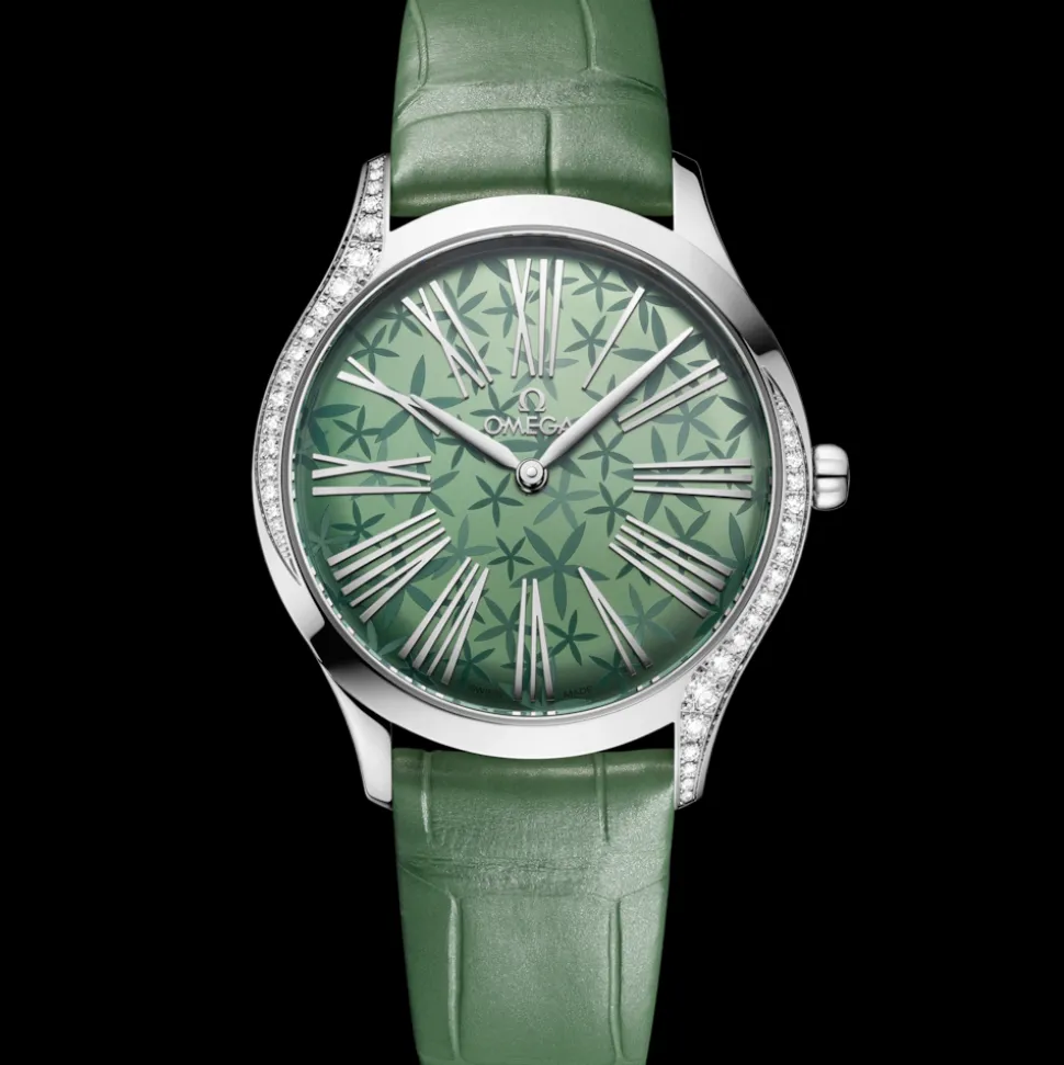 36 mm, acciaio su alligatore