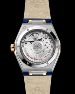36 mm, acciaio‑oro giallo su cinturino di pelle