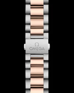 41 mm, acciaio‑oro Sedna™ su acciaio‑oro Sedna™