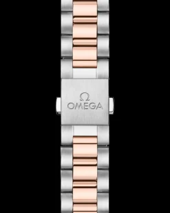 38 mm, acciaio‑oro Sedna™ su acciaio‑oro Sedna™