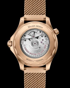 42 mm, Bronze gold su Bronze gold