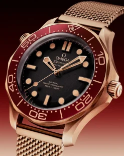 42 mm, Bronze gold su Bronze gold