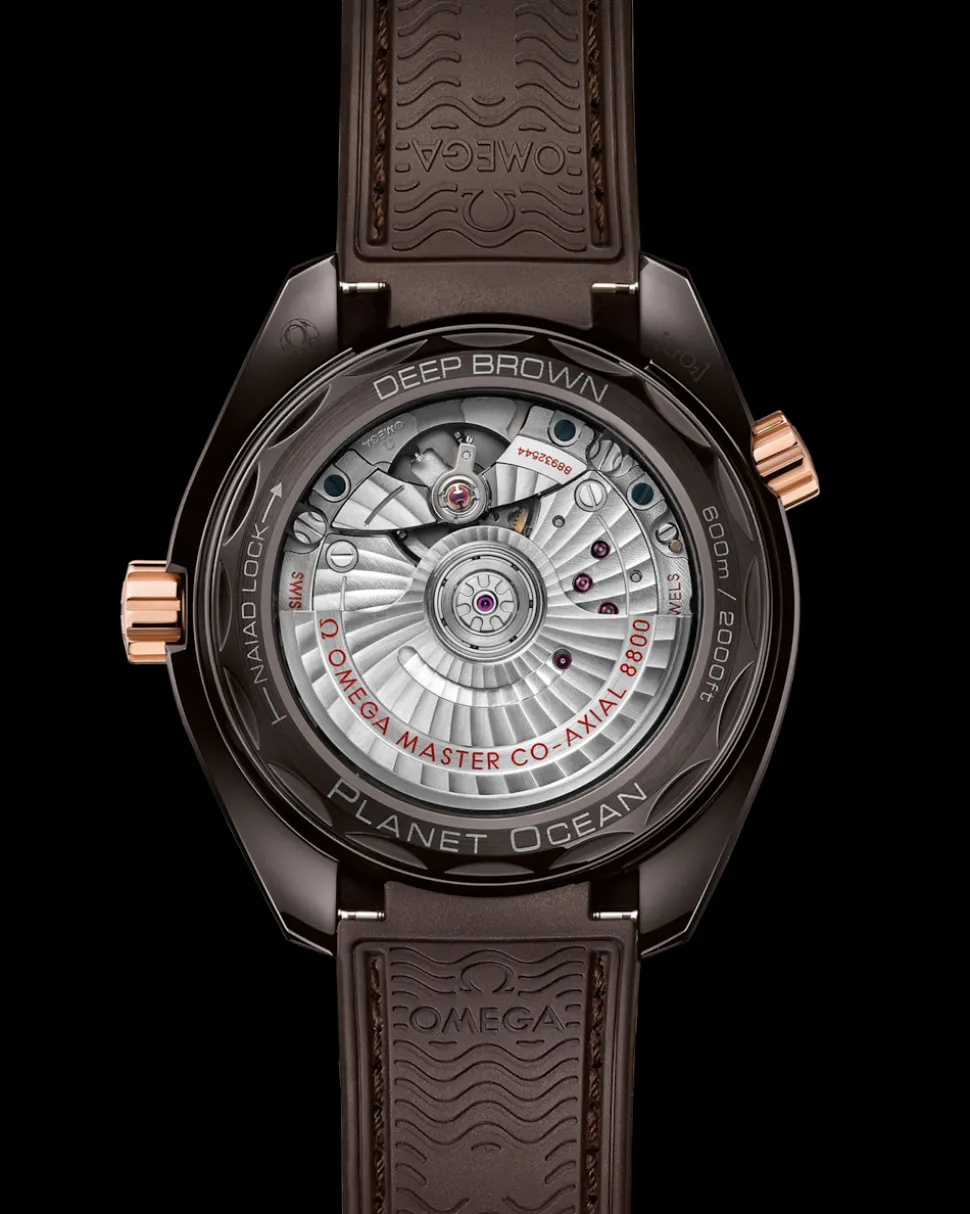 39,5 mm, ceramica marrone su cinturino in caucciù
