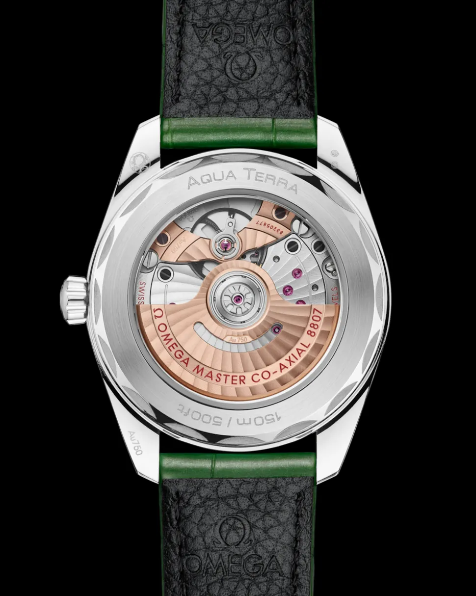 38 mm, oro Canopus Gold™ su alligatore