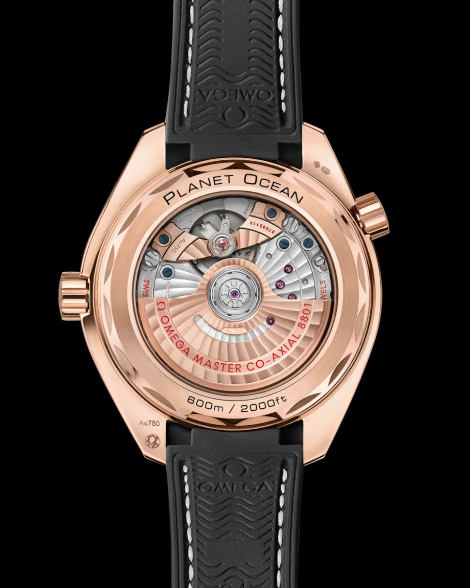 39,5 mm, oro Sedna™ su cinturino in pelle con rivestimento interno in caucciù