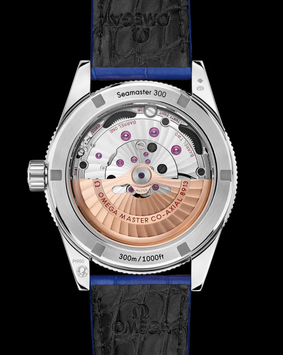 41 mm, platino su cinturino di pelle