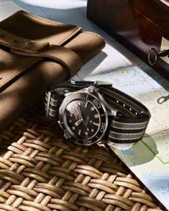 42 mm, titanio su cinturino NATO