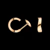 Orecchini, oro giallo 18k